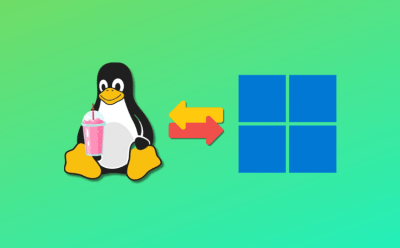 How to access Linux files from windows