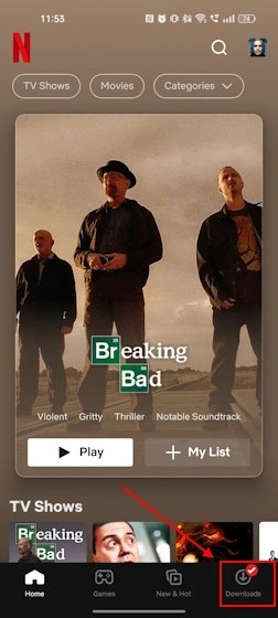 Downloads section bottom panel Netflix mobile