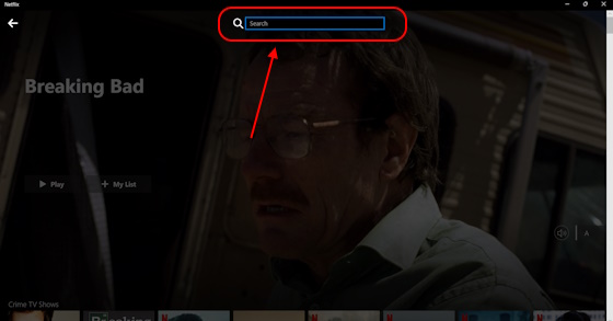 How to Download Movies on Netflix on PC Search box