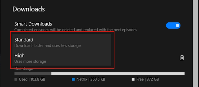 Netflix video download options