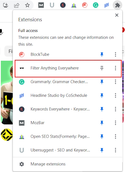 Filter Anything Everywhere in the Extensions menu