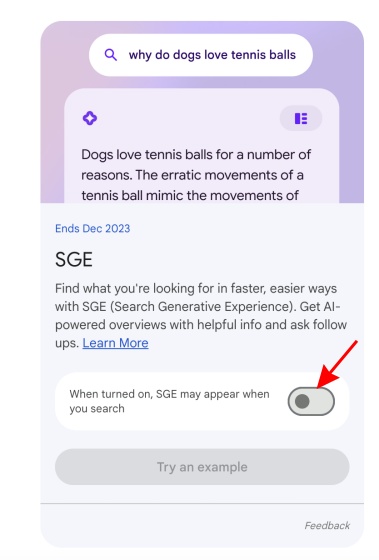 toggle on generative ai search experience 