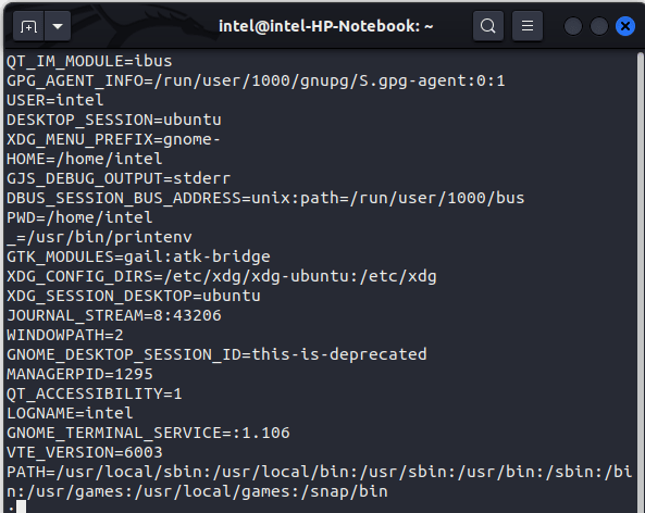 listing all environment variables