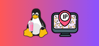 how to get IP address in Linux