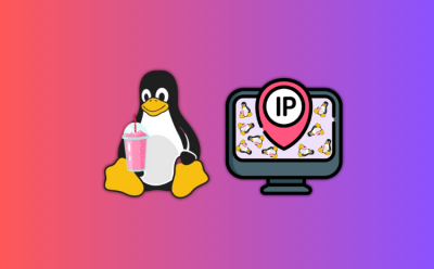how to get IP address in Linux