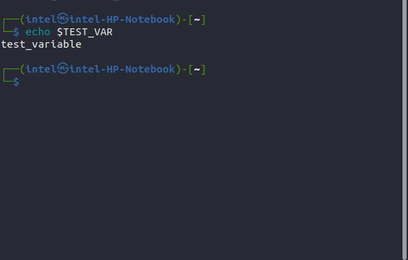 printing the value of a shell variable