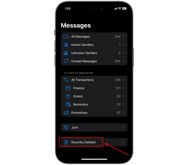 Retrieve Deleted Messages on iPhone 