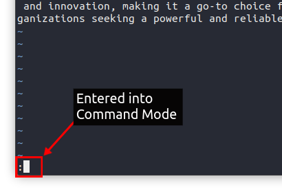 How To Search Text In Vim (3 Methods) | Beebom