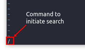 initiating forward search using '/' key on the keyboard
