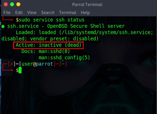 checking status of ssh service 