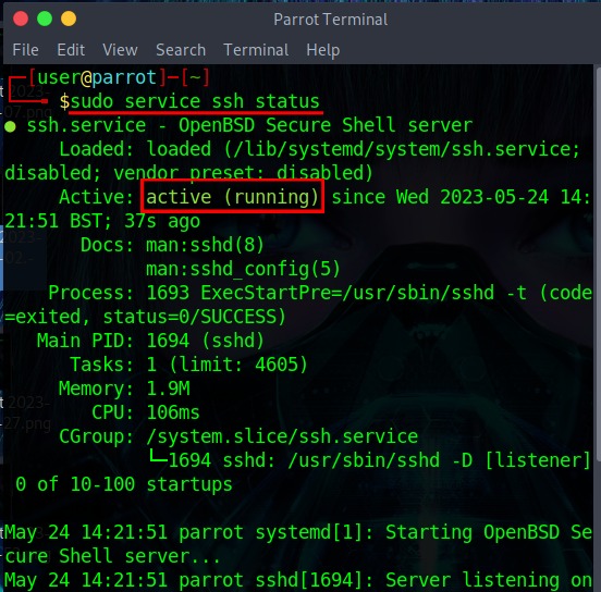 ssh service ready to connect in remote Linux server