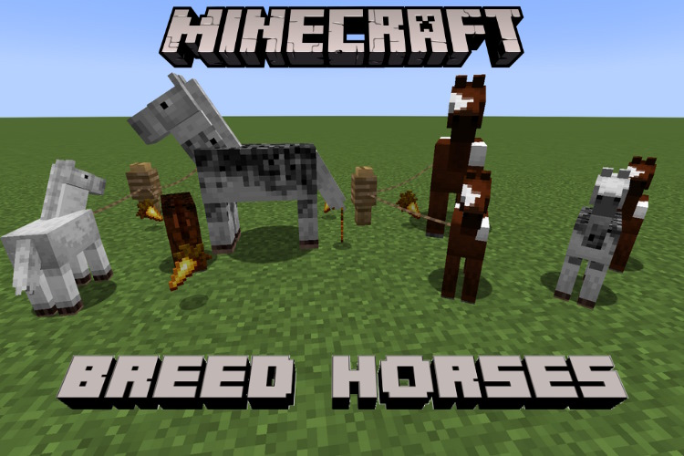 How to Breed Horses in Minecraft (2023 Guide) Beebom