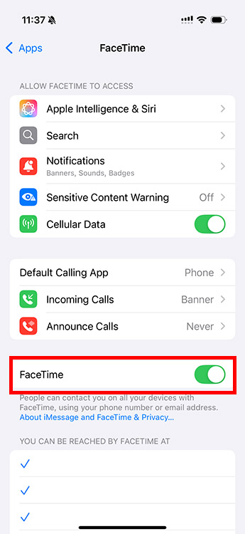 Check if FaceTime toggle is enabled