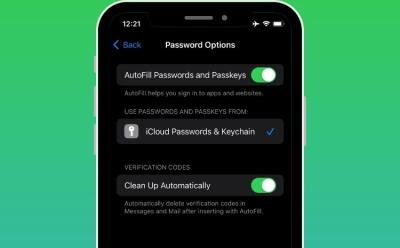Clean Up Verfication Codes Automatically in iOS 17