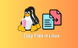 Copy Files in Linux