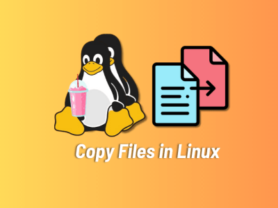 8 Best Examples of cp Command in Linux | Beebom
