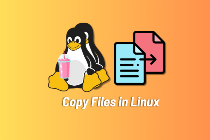Copy Files in Linux