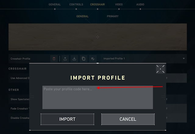 Crosshair Profile Paste area in Valorant