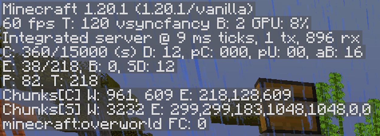 First paragraph on the left side of the F3 debug screen in Minecraft