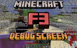 Opened F3 debug screen in Minecraft survival