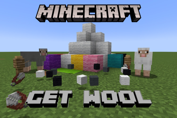 How to Get Wool in Minecraft (4 Ways) Beebom