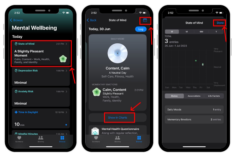 How to view Mental Wellbeing data on iPhone with iOS 17