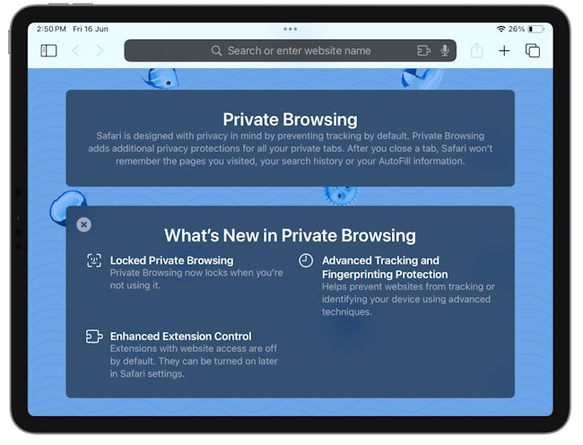 Private Browsing Window Safari iPad