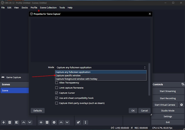Recording Specific Game Screen on OBS