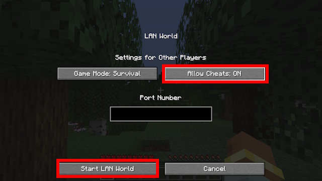 Select Allow Cheats: ON and click Start LAN World