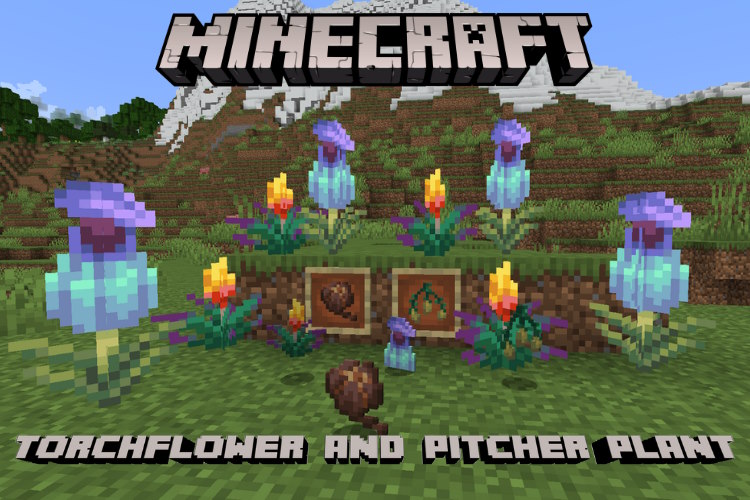 How To Get Torchflower And Pitcher Plant In Minecraft Beebom