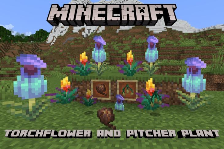 Torchflower and Pitcher plant Minecraft featured image