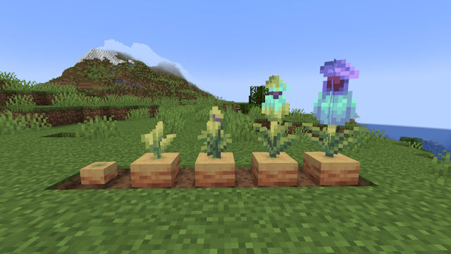 Stages of growth of the pitcher plant in Minecraft