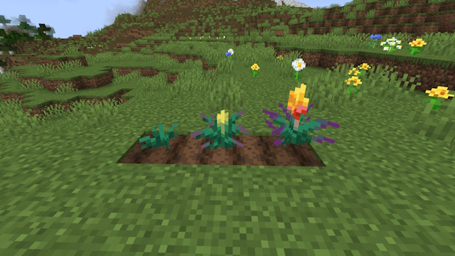 Etapas de crescimento da flor da tocha no Minecraft