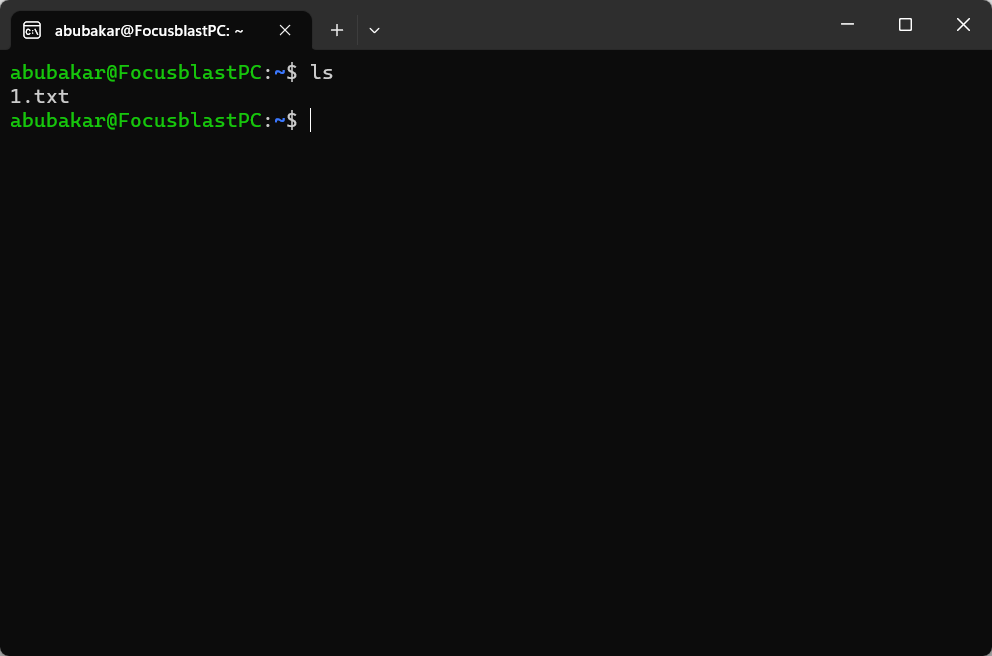 ls command in terminal