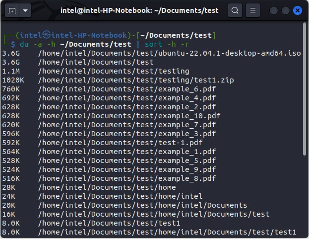 Locating large files with the du command