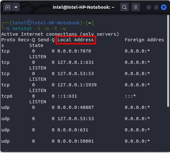 Output for netstat -l -n -t -u command