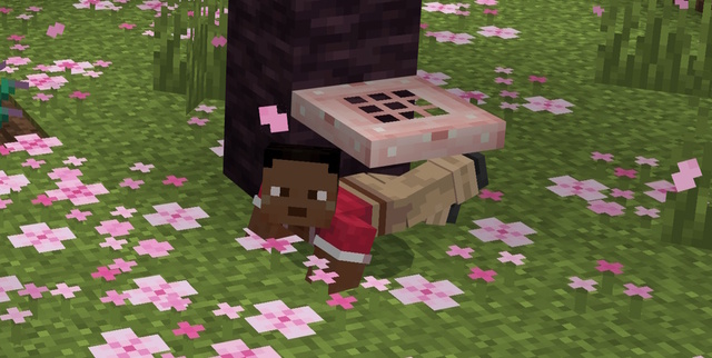 Minecraft 1.20 details new mob, archaeology, and a surprise new biome