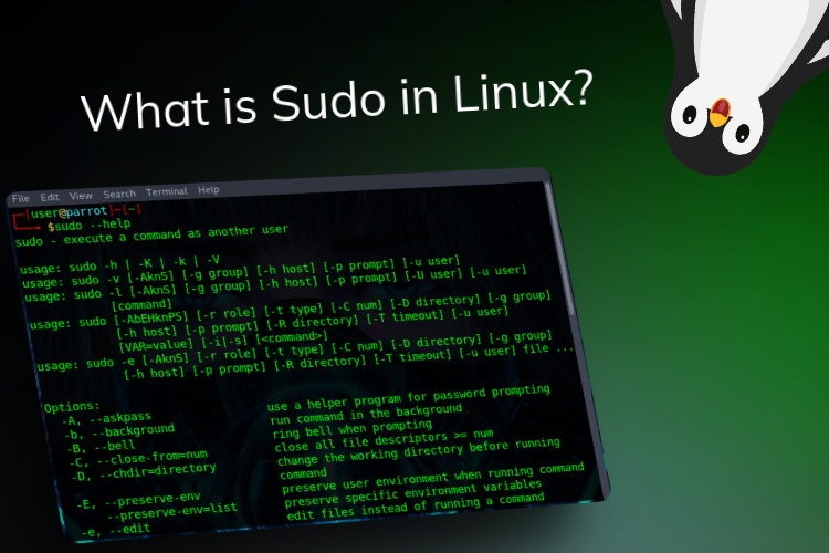 How to Use Sudo Command in Linux (with Examples) | Beebom