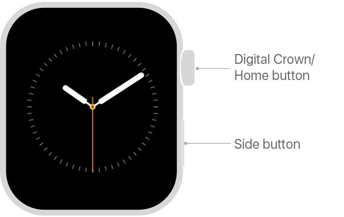 Reset button on online apple watch