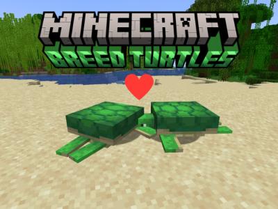 Minecraft Bedrock Commands: Everything You Need to Know | Beebom
