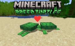 Two turtles breeding in Minecraft