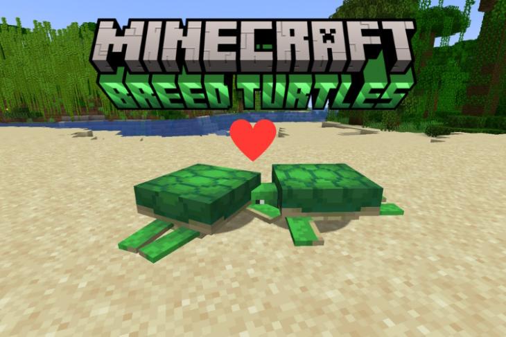 Two turtles breeding in Minecraft