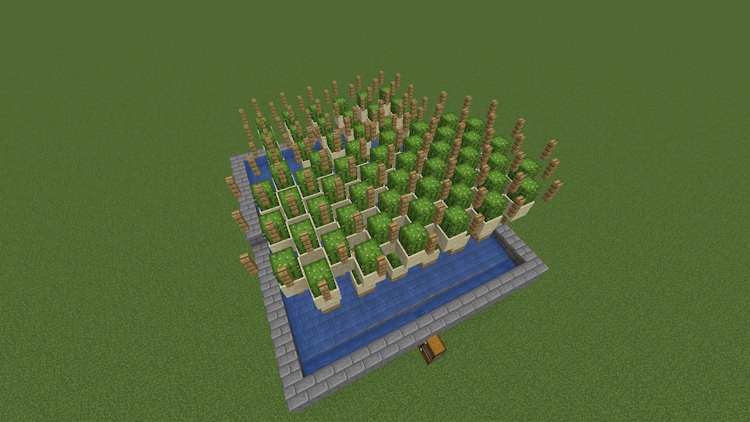 Extended cactus farm with new cactus stations on top of the fences below in Minecraft