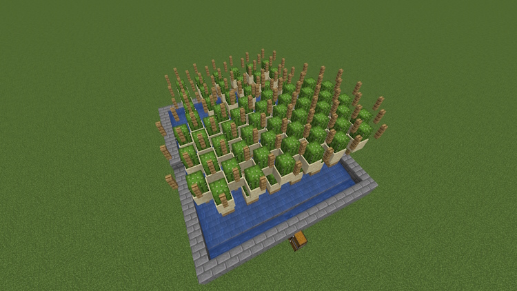 Ferme De Cactus Étendue Avec De Nouvelles Stations De Cactus Au-Dessus Des Clôtures Ci-Dessous Dans Minecraft