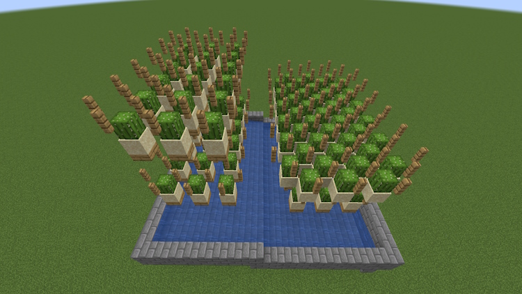 Extended cactus farm with new cactus stations a few blocks above the lower ones in identical order