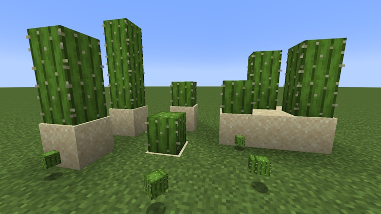 Cactus planted on sand in Minecraft