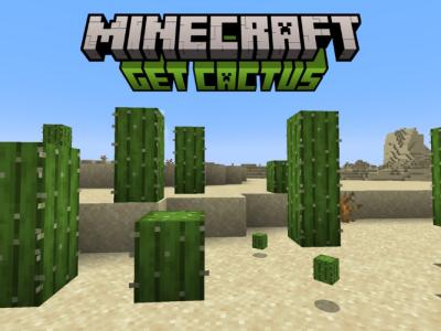 Naturally generated cactus in a desert biome
