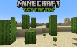 Naturally generated cactus in a desert biome