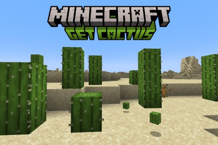 Naturally generated cactus in a desert biome
