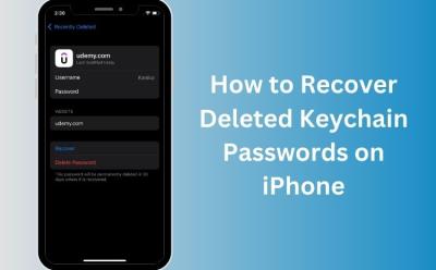 How to Recover Deleted Keychain Passwords in iOS 17
